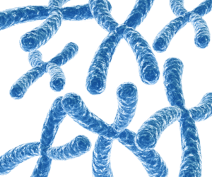 aberracja chromosomowa